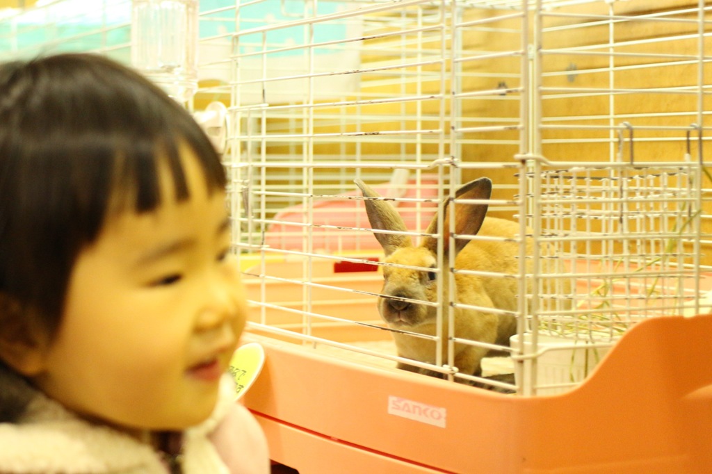 連れてってくれー(＞人＜;)