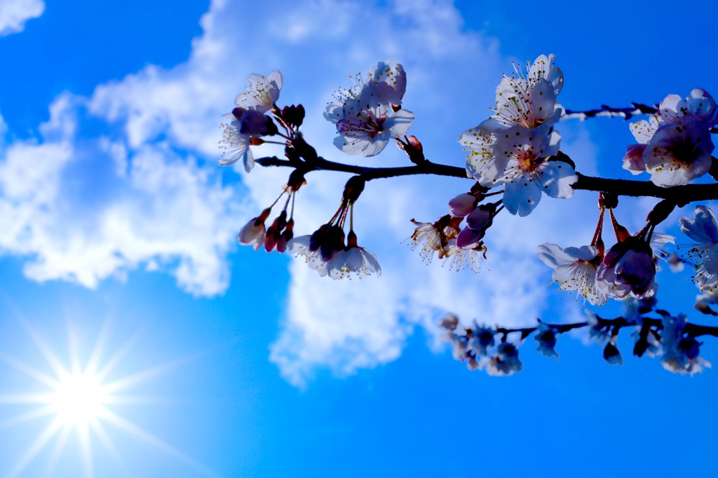 スカっと晴れたやん♪