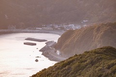 蒲戸崎山頂から見た福泊