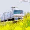 なんだか名前も解らないのですがm(_ _)m