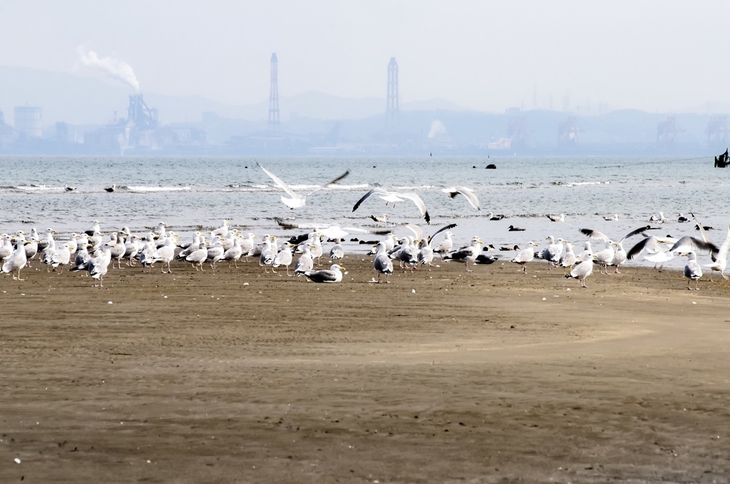 春の浜辺にて