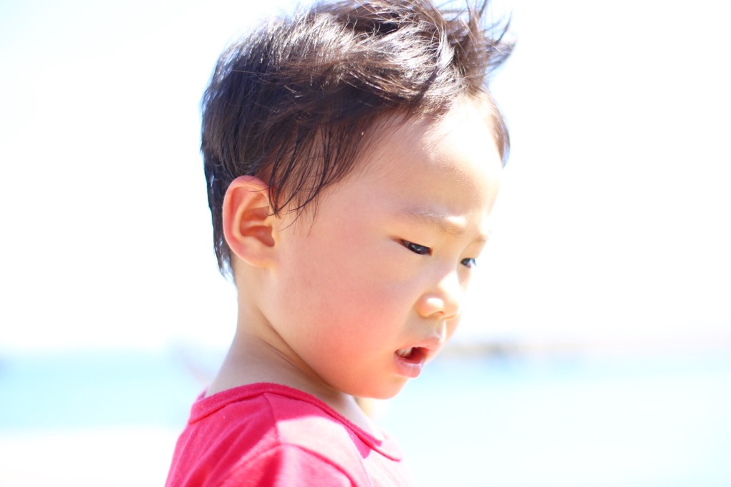 シブいなアニキ！