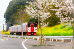 花より電車④