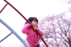 もの思い、、、