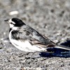 カワイく撮ってよねー