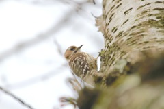 なんか視線をかんじるなー