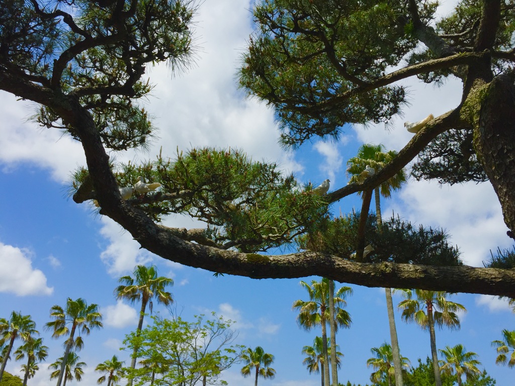 何匹いるかな？