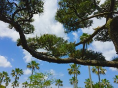 何匹いるかな？