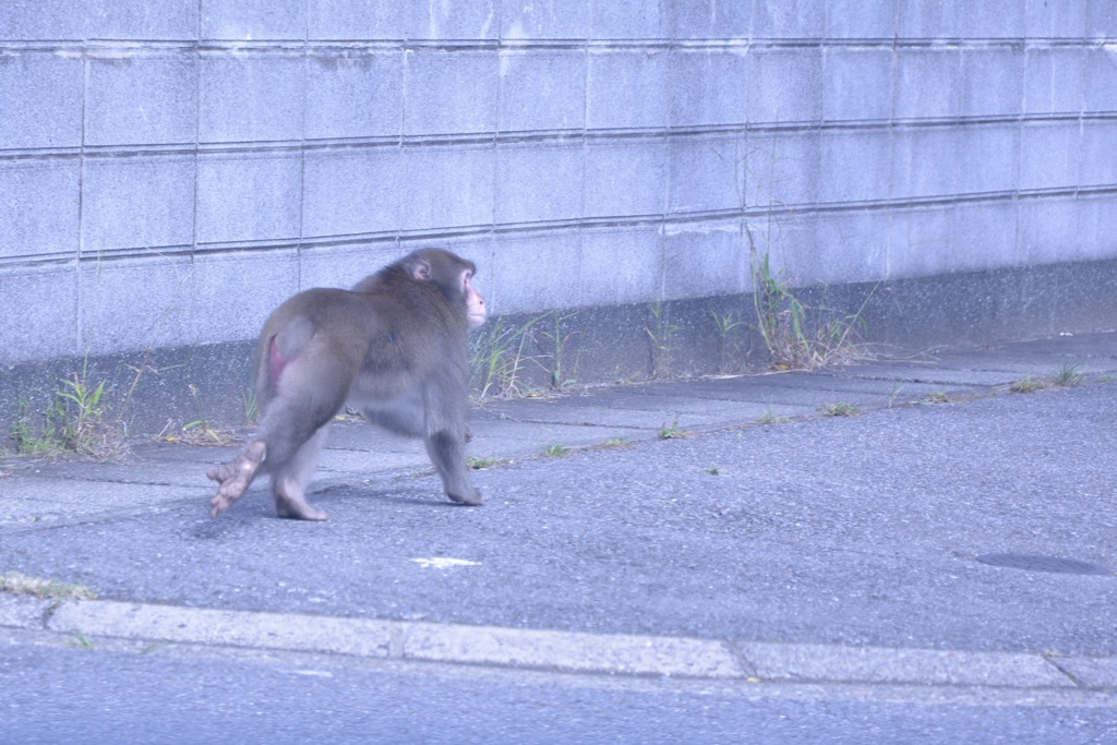 フロントガラスごしの風景1