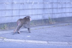 フロントガラスごしの風景1