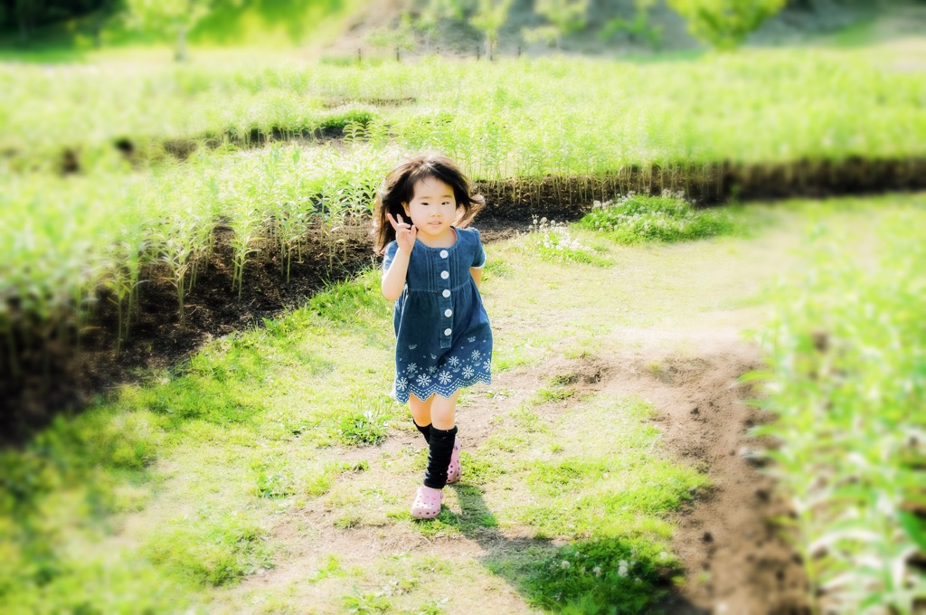 通りすがりの、、、サイン
