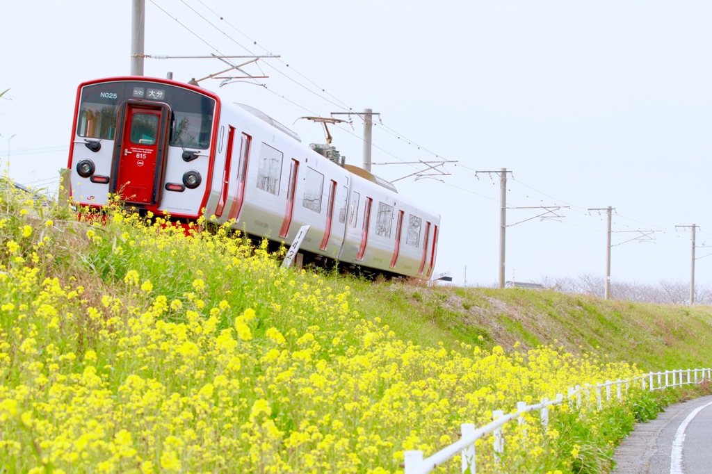 普通の乗り物撮って見ました、、、