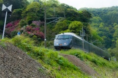 とある岬を走る電車