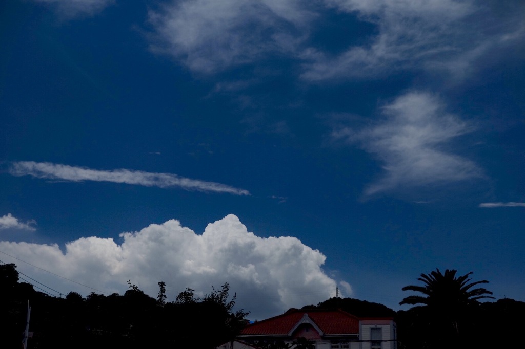 夏っぽいですね、、、