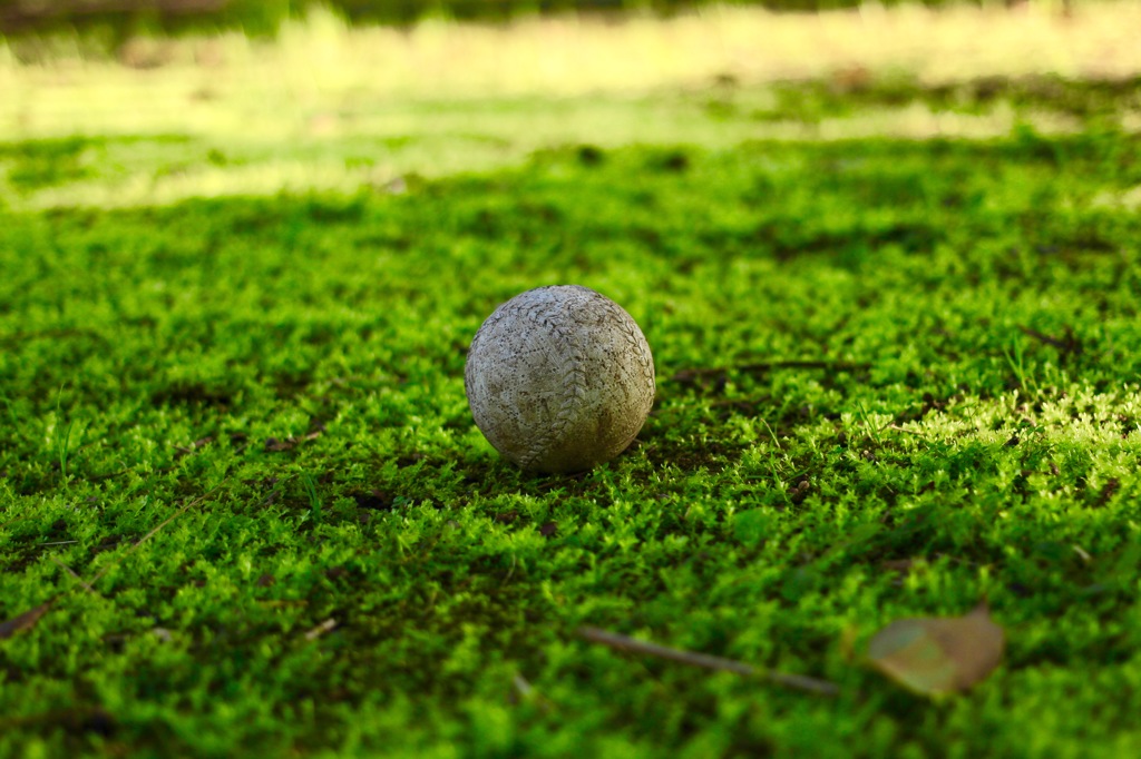 持ち主もないボール