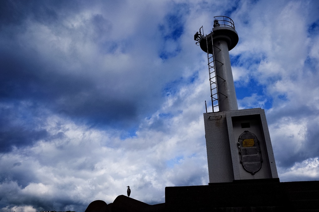 もう雨はこりごりですよ！