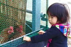 どの子が美味しいかしら？