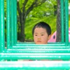 ひょっこり