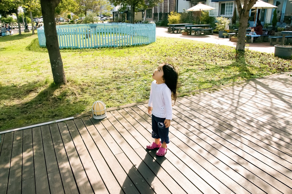 あー！うえにもいるー！