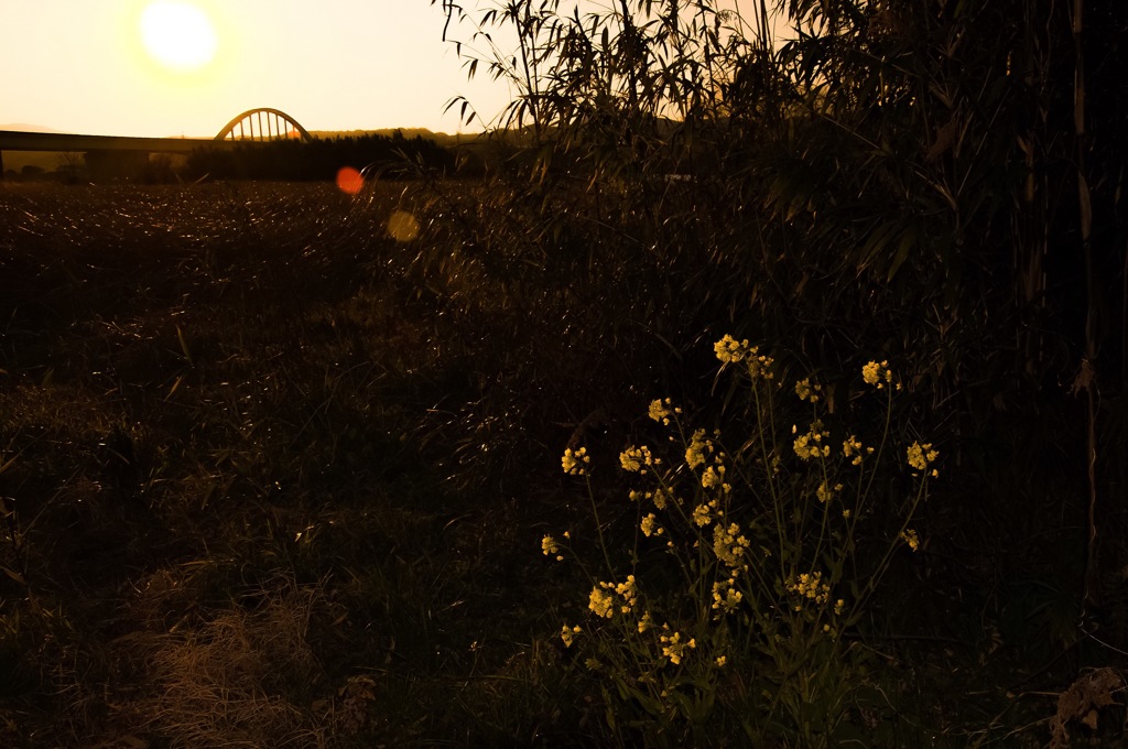 春先の静かな夕暮れ