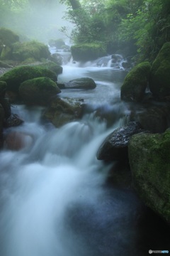 奥大山の朝