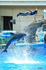Lets fly！