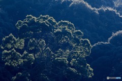 爆破
