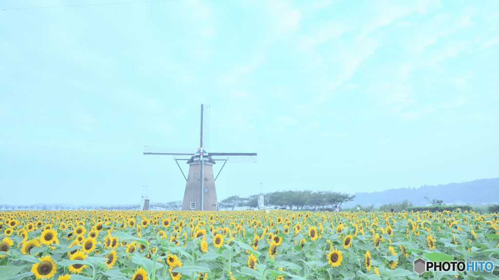 夏風