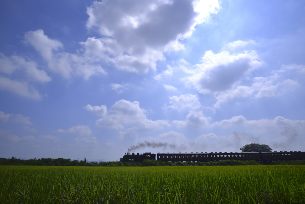 煙はやがて雲になって