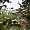 「奈良公園」撮歩06