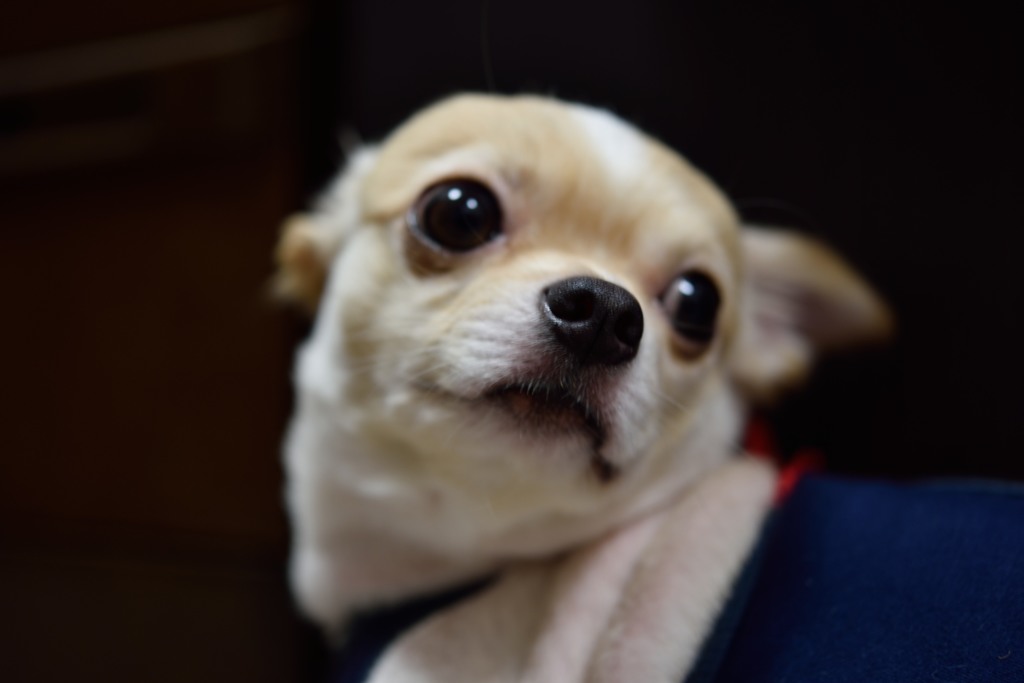 まなざし⁑