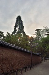「奈良公園」撮歩02
