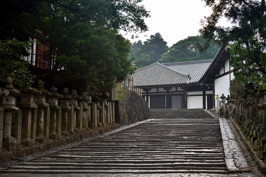 「奈良公園」撮歩08