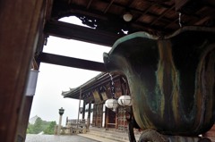 「奈良公園」撮歩12