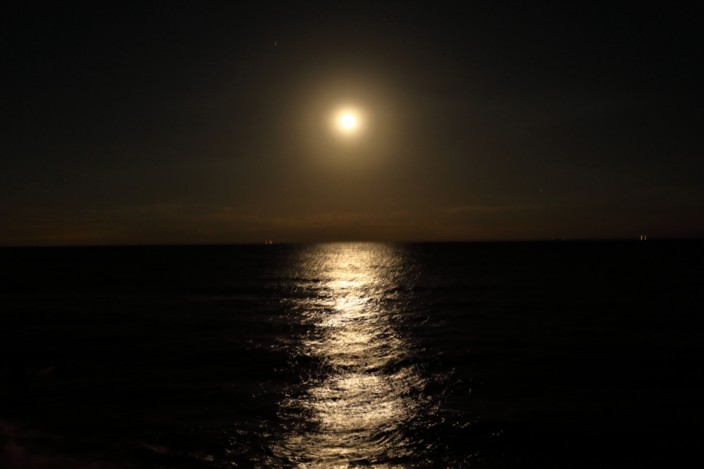 昨夜の月