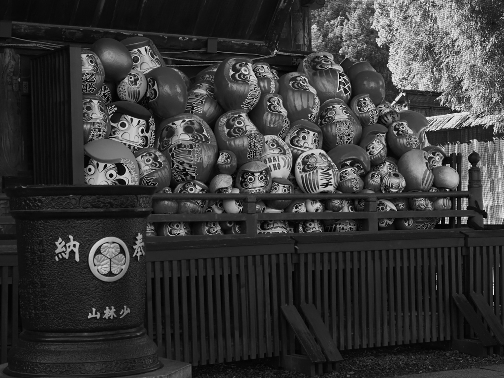 転んだかどうかは、分からない！