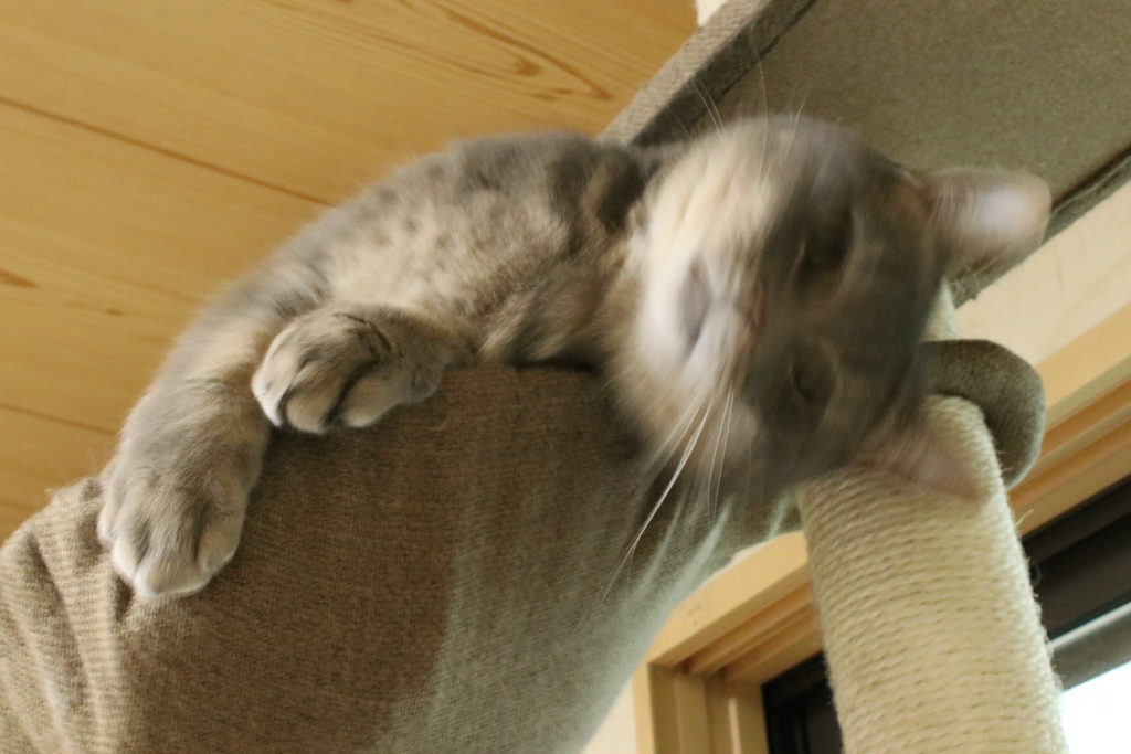 えっ・・・？