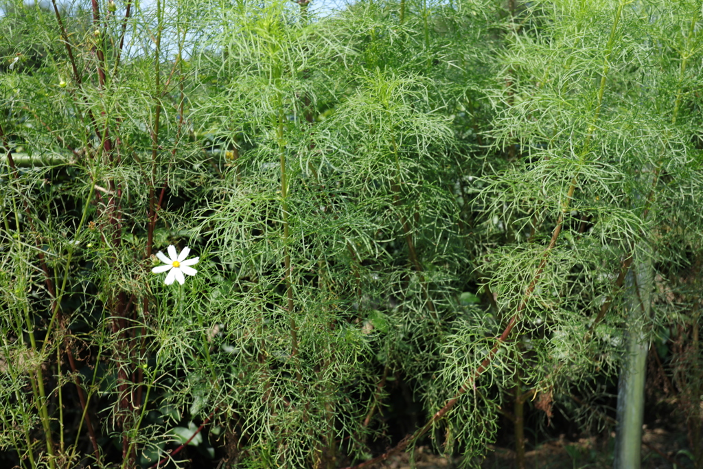 そんなあなたを愛してるん！