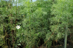 そんなあなたを愛してるん！