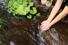名水です！