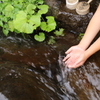 名水です！