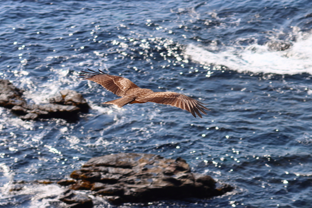 take off