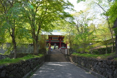 新緑の神社