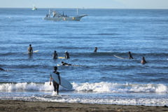 楽しそうじゃん