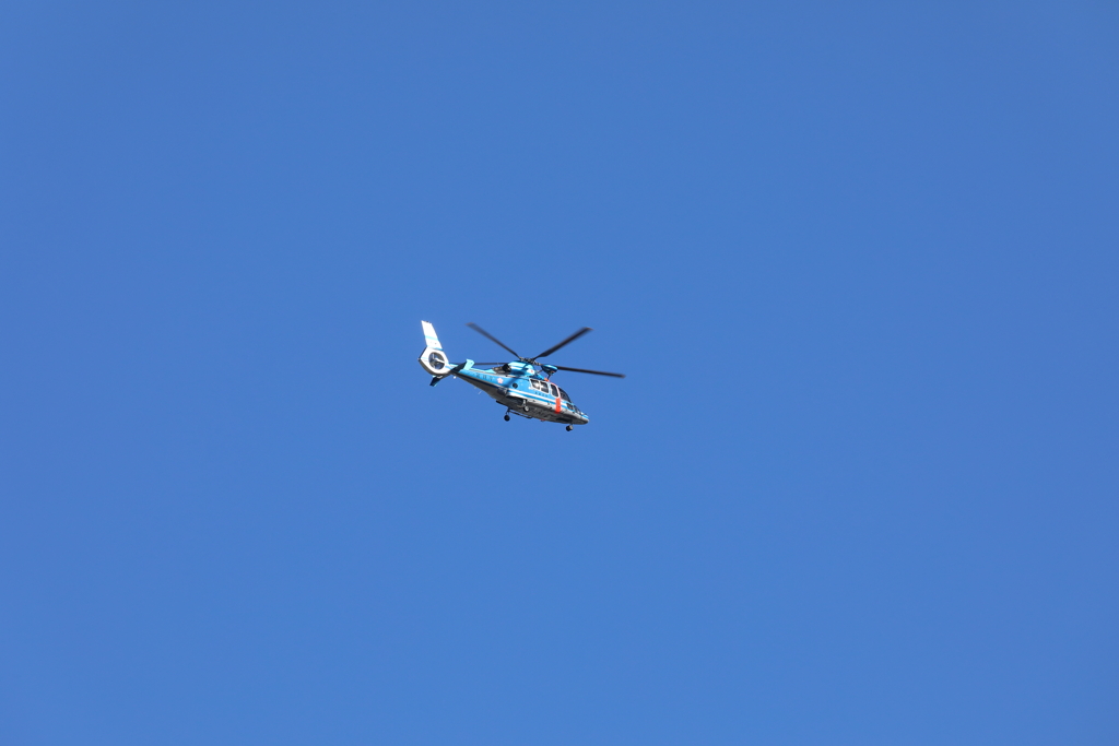 またまた・・・ヘリちゃん('ω')ノ