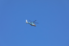 またまた・・・ヘリちゃん('ω')ノ