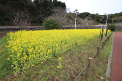 はい！君！列に戻って！