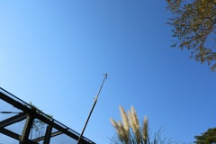 もうお別れかな・・・