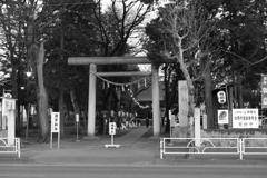 なんとなく・・・