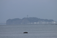江の島と